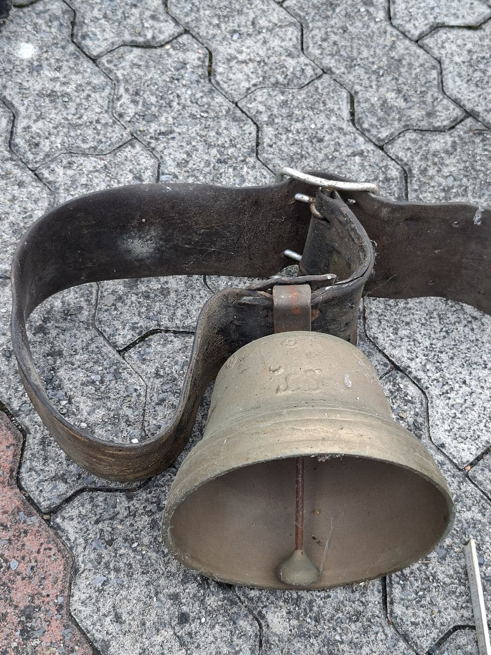 Campanacci mucche: belle cloche a vendre – Usato da Villeneuve venduto da BibiVintage 3