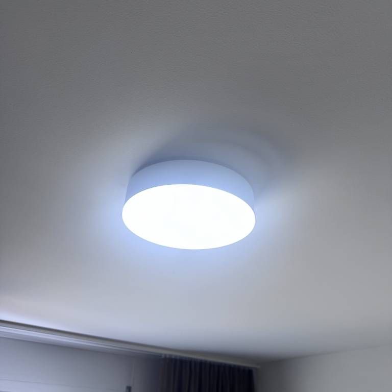 Philips Lampadari & plafoniere: Philips Hue Deckenleuchte 26 x 6.6 cm – Nuovo (secondo la descrizione) da Hinwil venduto da norisenya 4