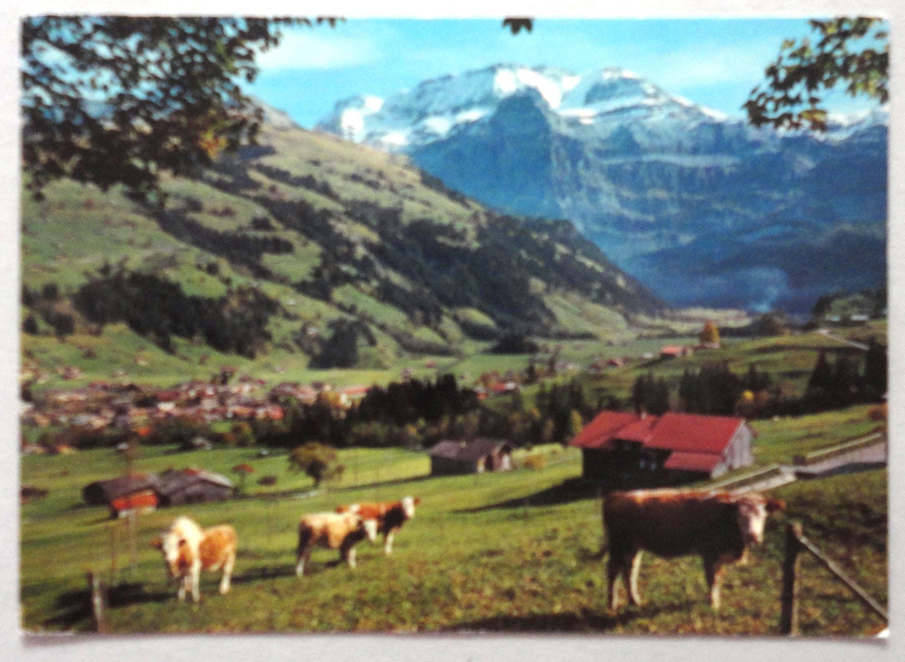 Cartoline postali: Lenk BO, Wildstrubel – Usato da Fétigny venduto da Billy2miny