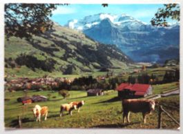 Lenk BO, Wildstrubel