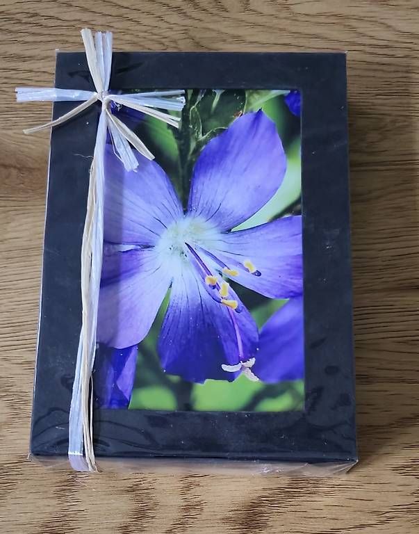 Baukästen: Notizbox blaue Himmelsleiter NEU – Gebraucht aus Chur von Frei3912
