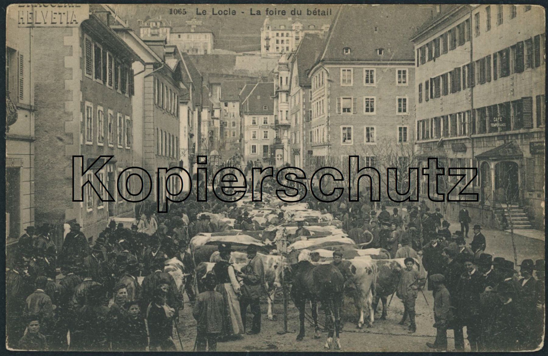 Ansichtskarten: NE Le Locle - Landwirtschaft - Markt – Neu (gemäss Beschreibung) aus Schindellegi von leecollect