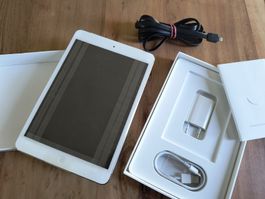 iPad mini 1