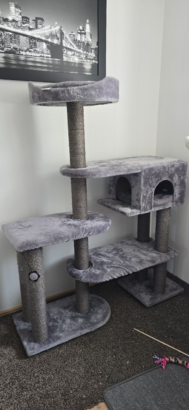 Tiragraffi: katzenzubehör – Usato da Au SG venduto da nic_j9pl 1
