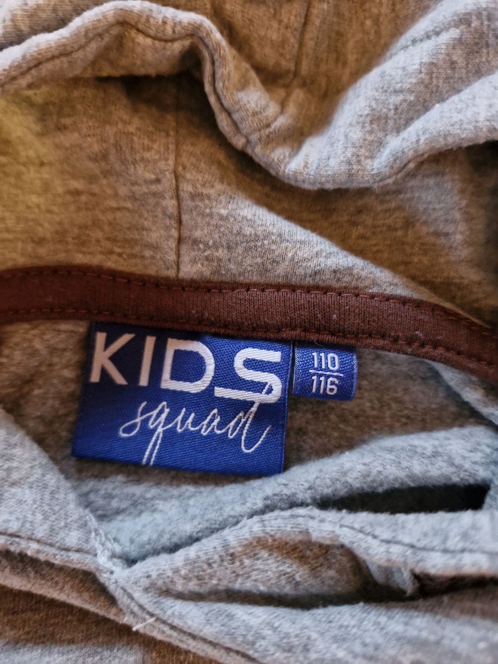 Pullover & Sweatshirts: 2 Kapuzen Pulli Gr.110/116 . – Gebraucht aus Disentis/Mustér von epa_862v 3