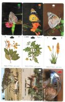 9 Telefonkarten Oman Schmetterlinge, Blumen, Tiere
