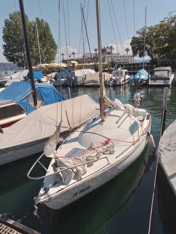 segelboot ohne mast kaufen