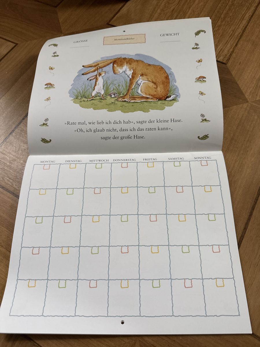 Calendari: Baby Tagebuch, Baby Kalender – Nuovo (secondo la descrizione) da Frauenfeld venduto da Mirabai 3
