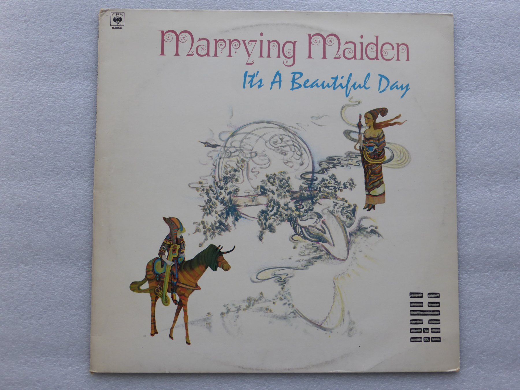Dischi in vinile: VINYL  LP   MARRYING MAIDEN – Usato da Küssnacht am Rigi venduto da Sunnestrahl