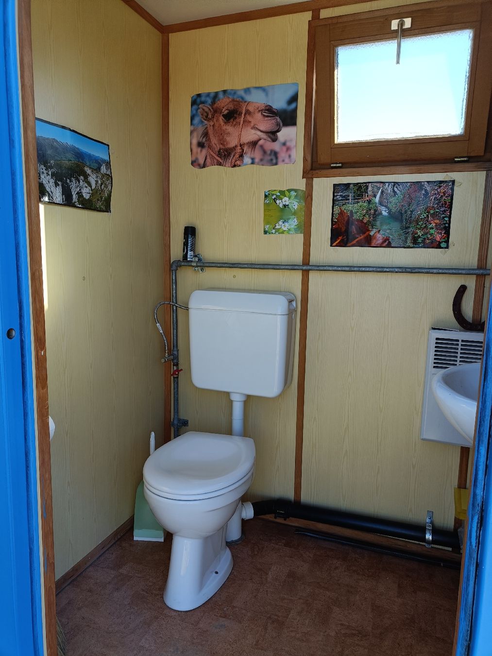 Conteneurs de construction: WC Container Scheifele  – D'occasion à Dällikon par sts_99cn 2