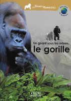 💞 Un géant sous les arbres, le gorille💞