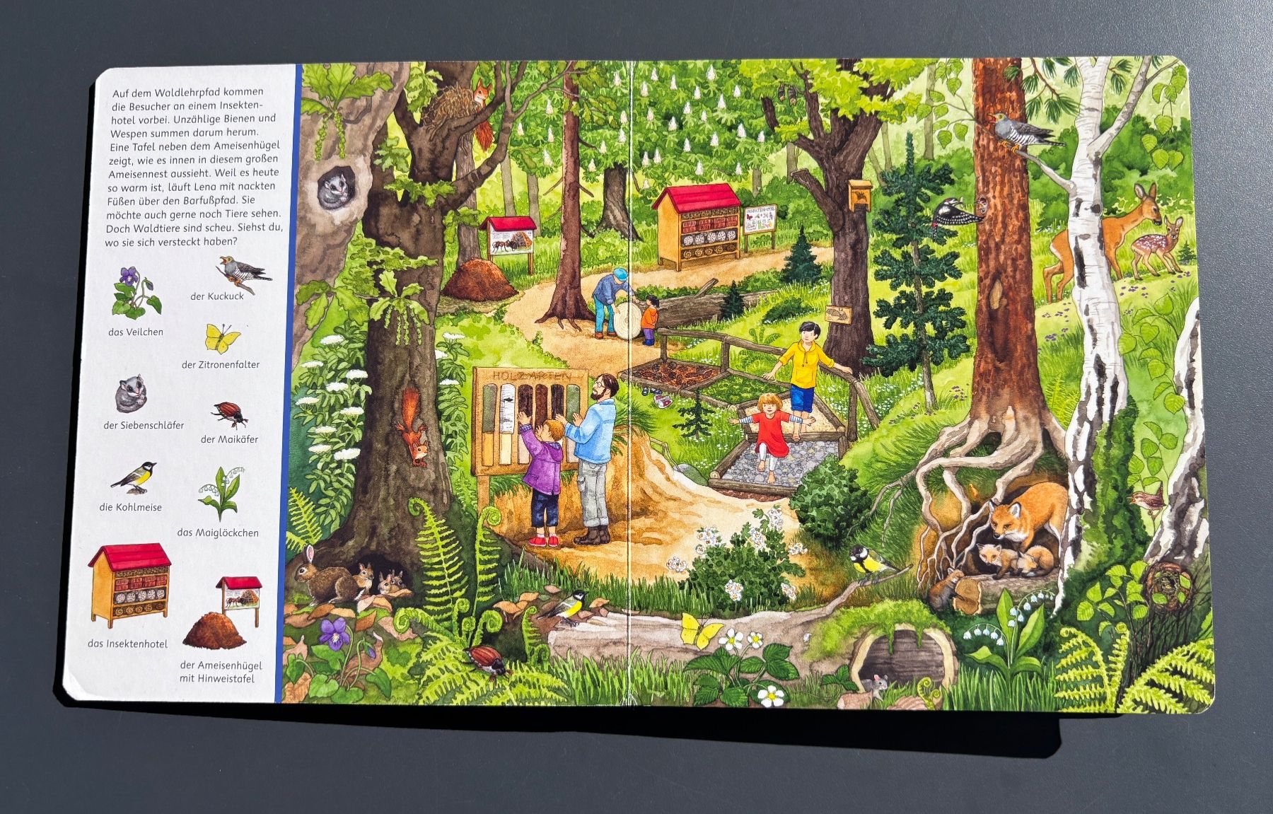 Bücher: Kinderbuch – Gebraucht aus Brugg AG von tsannen 3