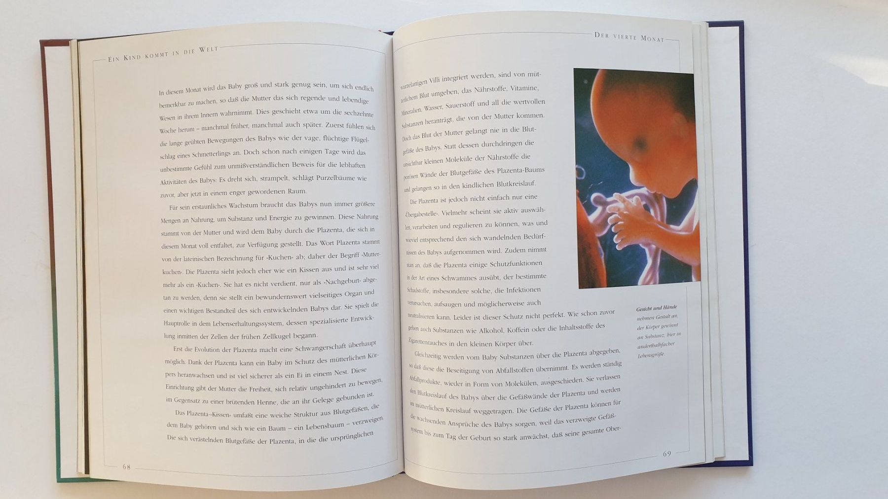 Libri: Ein Kind entsteht. – Usato da Goldach venduto da armando_r 3