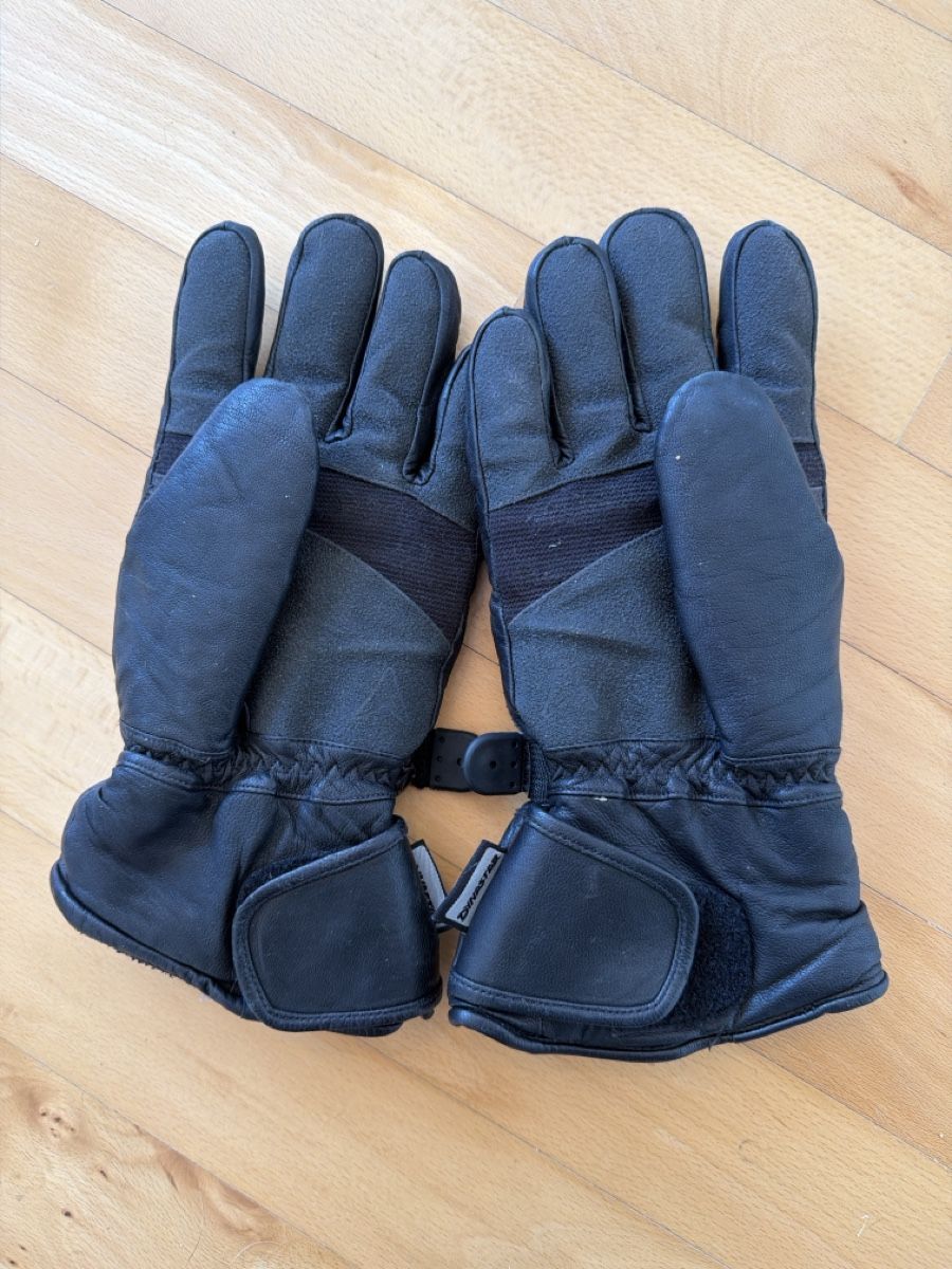 Altri accessori da uomo: Skihandschuhe Dynastar Leder schwarz Grösse M  – Usato da Wetzikon ZH venduto da philippe_22 1
