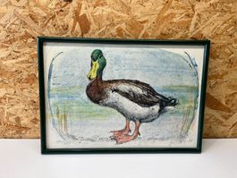 Lithografie / Ente von Fritz Hug 1968.     (ID M457)