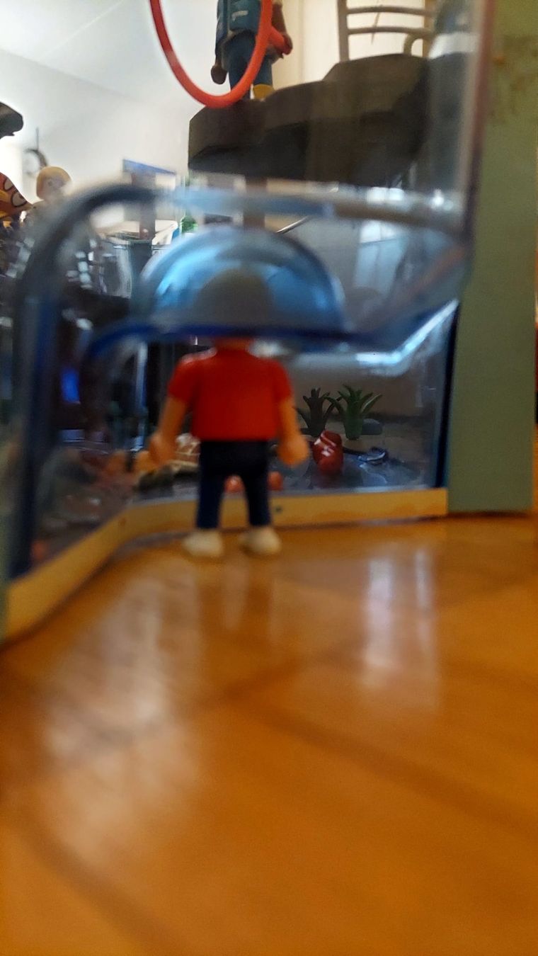 Playmobil Giocattoli: Playmobil Aquarium – Usato da Meilen venduto da maschentausend 7