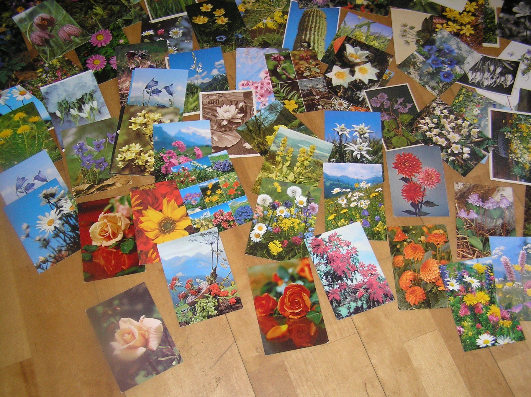 Cartes postales: 150 Schöne Blumenkarten – D'occasion à Lumbrein par made02 7