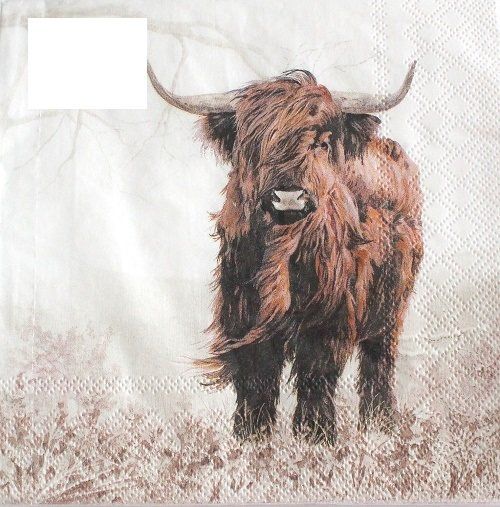 Servietten: Serviette highlander (1394) 2Stk. – Neu (gemäss Beschreibung) aus Schlatt TG von kreativ-atelier