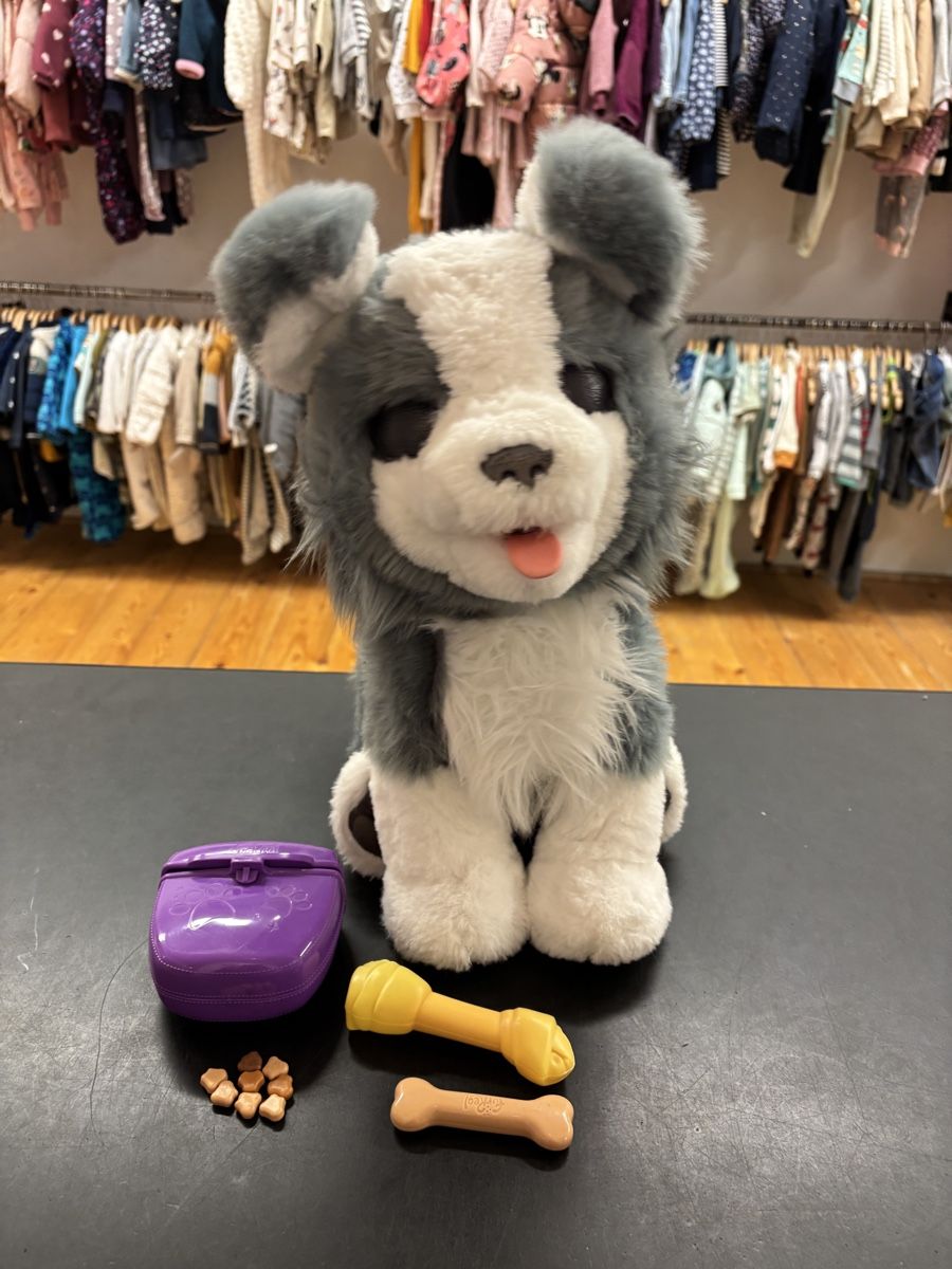 FurReal Giocattoli: Furreal Husky – Usato da Büren an der Aare venduto da Nikito2001