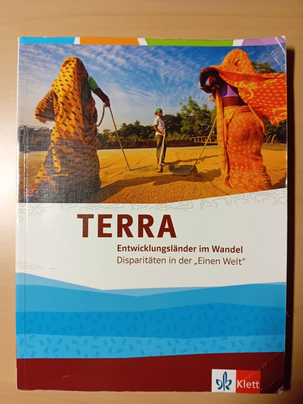 Libri: Terra Entwicklungsländer im Wandel – Usato da Schindellegi venduto da nin_7njd