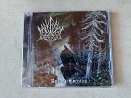 Dark Forest  -  Aurora Borealis  /  Fabrikneu
