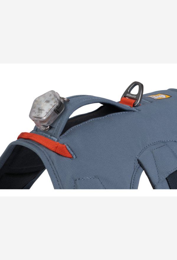 Ruffwear Leine & Halsband: Ruffwear Web Master Harness slate blue XS neu – Neu und originalverpackt aus Ipsach von Andyj 2