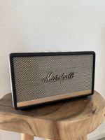 Marshall Speaker Action 2