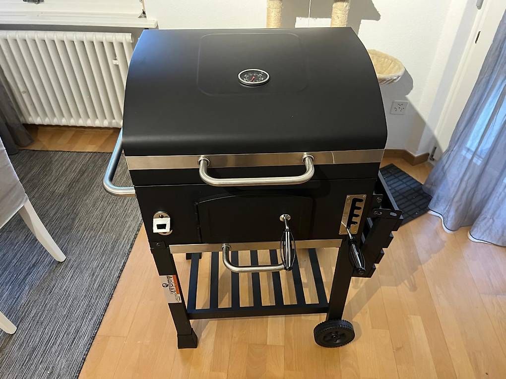 Griglie: Holzkohlegrillwagen – Usato da Bern venduto da giu_f5y2 4