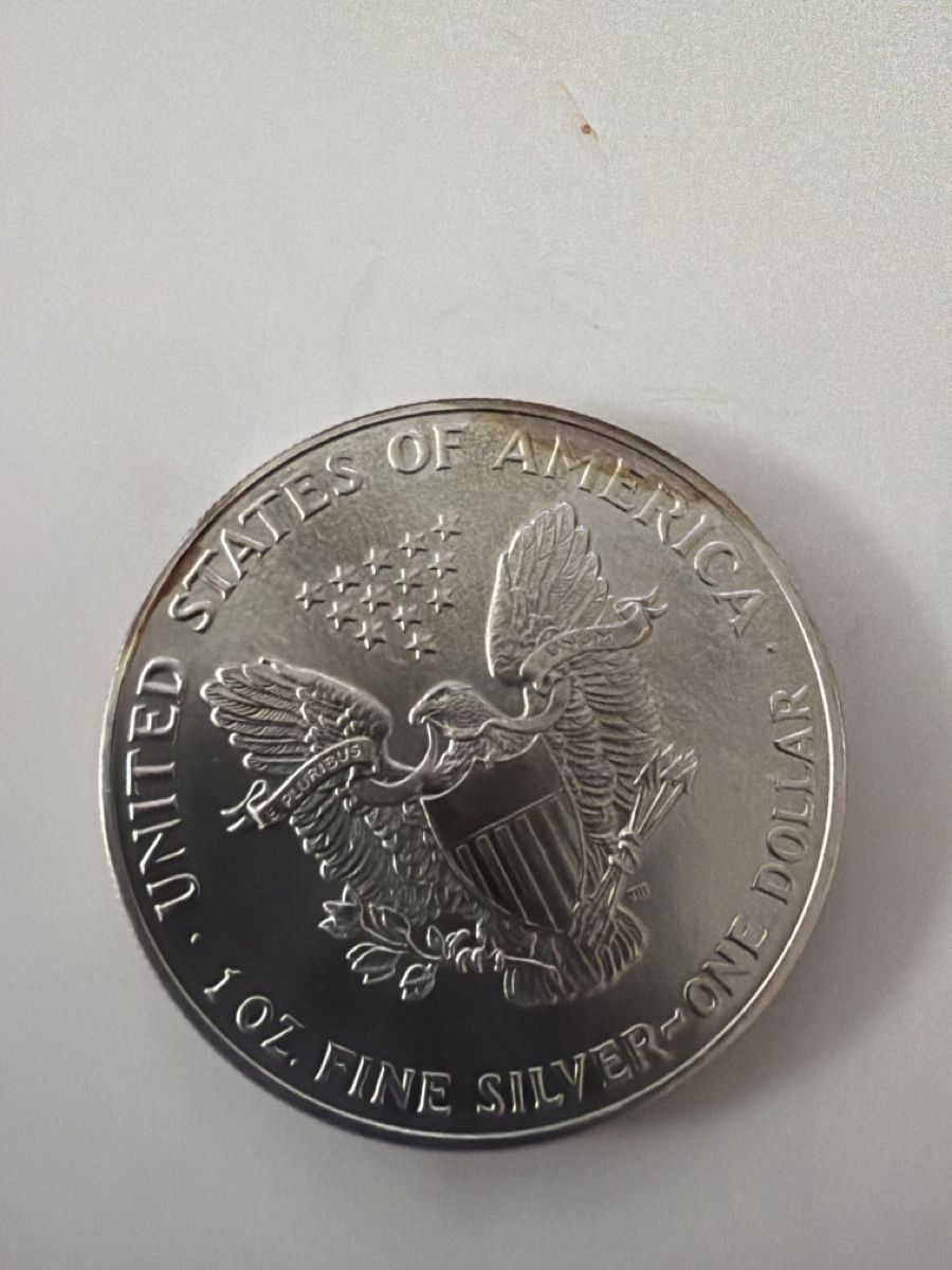 Tutti le monete: Silbermuenze American Eagle 1991 unz Blei – Usato da Reichenburg venduto da Theworld 1