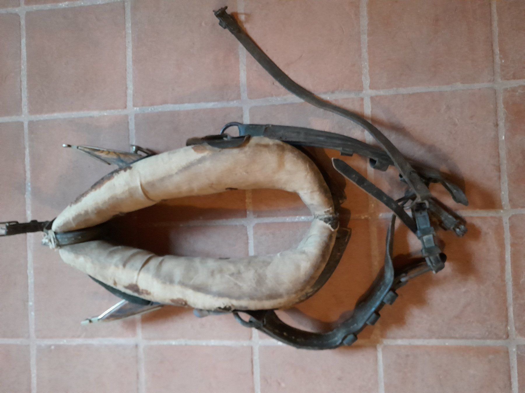 Briglie & Cavezze: Pferdekummet – Usato da Männedorf venduto da tigel19 1
