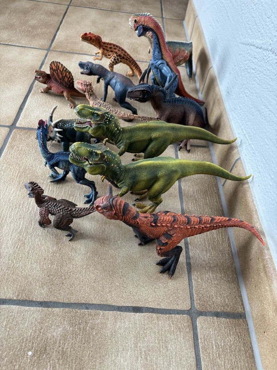 Schleich Figurines: 13 Schleich Dinosaurier  – D'occasion à Bachenbülach par Queen_K 2