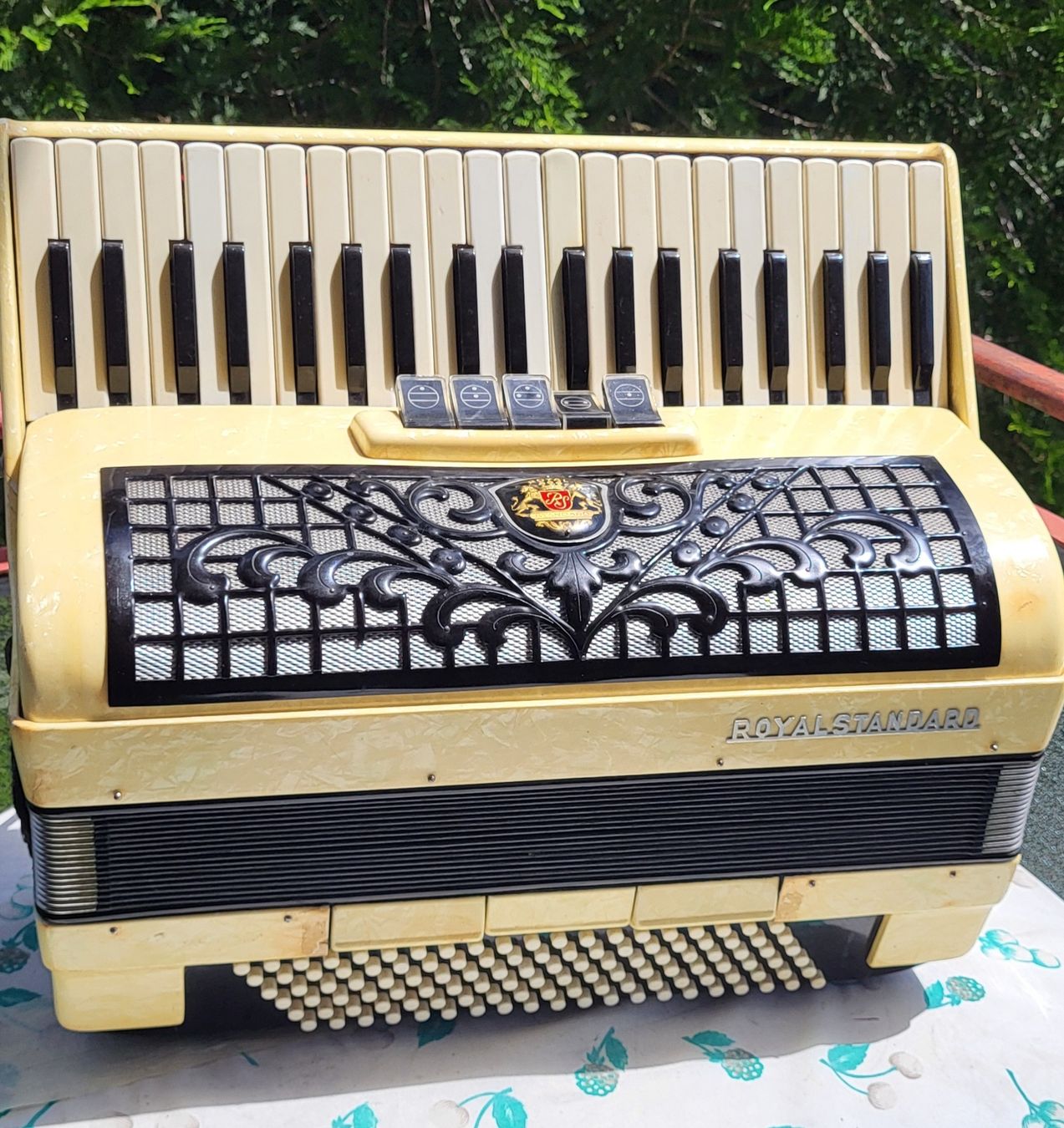 Strumenti musicali: Accordéon Royal standard – Usato da Penthalaz venduto da EvandroLuz
