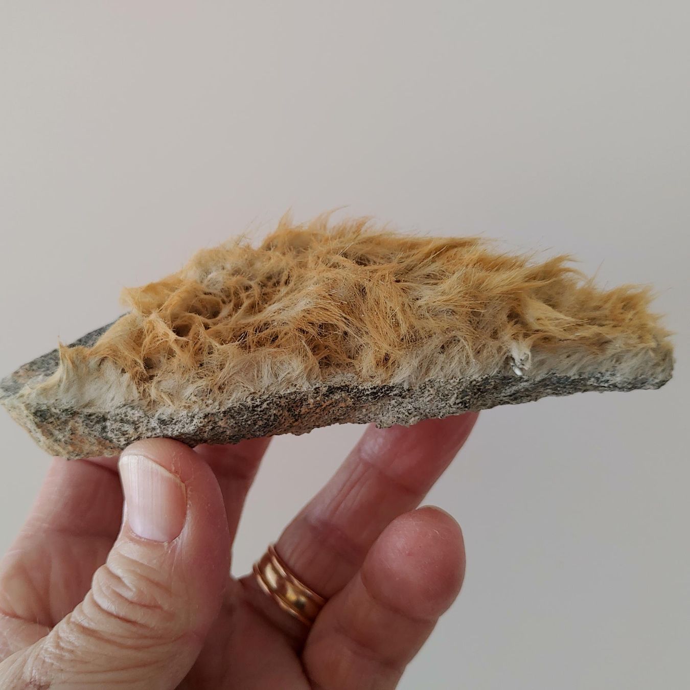 Minerali & Pietre curative: Schöne Amiant-Stufe, Maderanertal UR, Eigenfund – Nuovo e nell'imballaggio originale da Steinhausen venduto da Kristall022 1