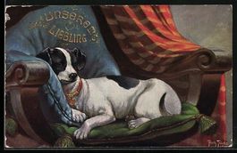Arthur Thiele: Jack-Russel-Terrier schl