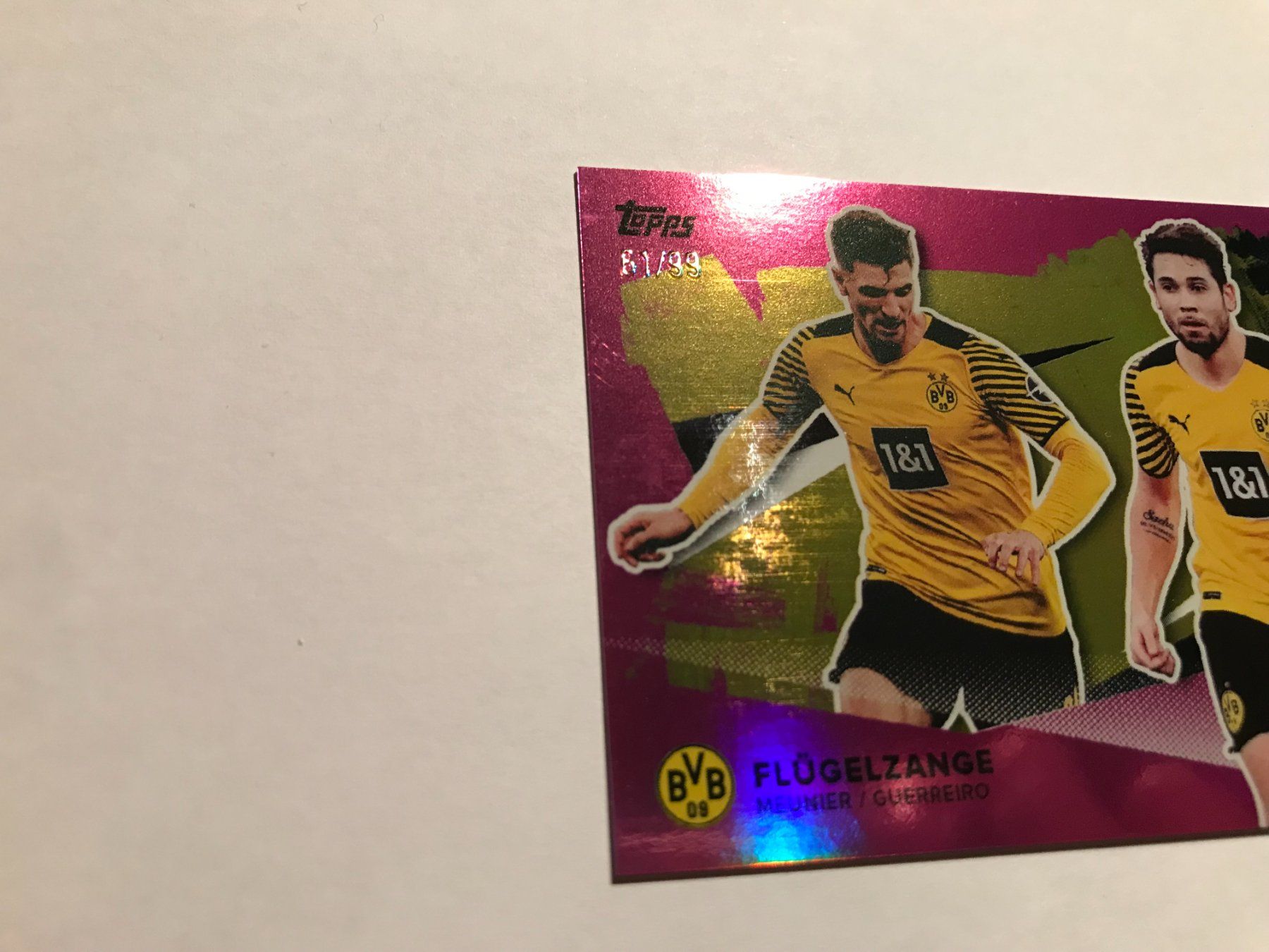 Panini Carte collezionabili: BVB Set Flügelzange holo 61/99 – Usato da Hagendorn venduto da Pokecollectorch 2