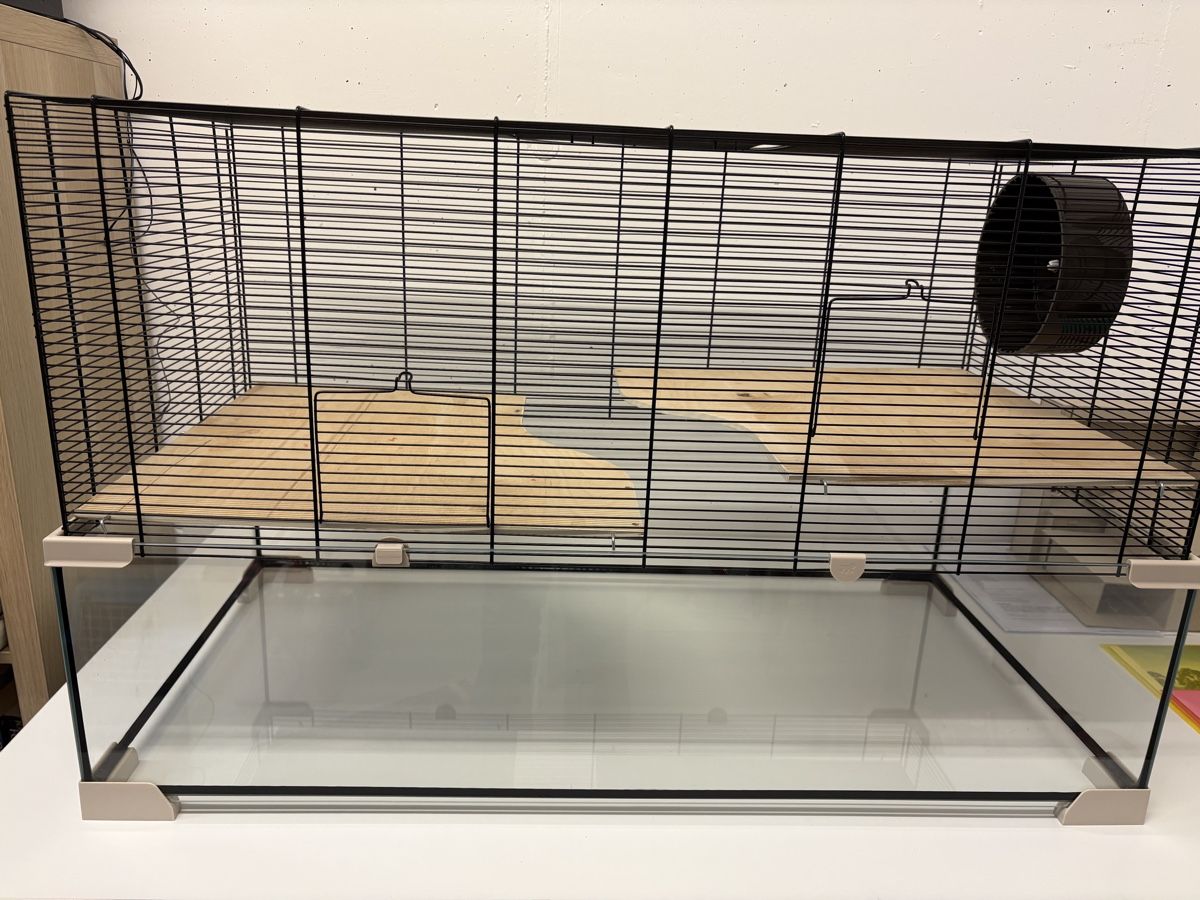 Gabbie, trasporto & Sicurezza: Hamsterkäfig mit Holzplatten & Laufrad – Usato da Uetliburg SG venduto da Nicina1
