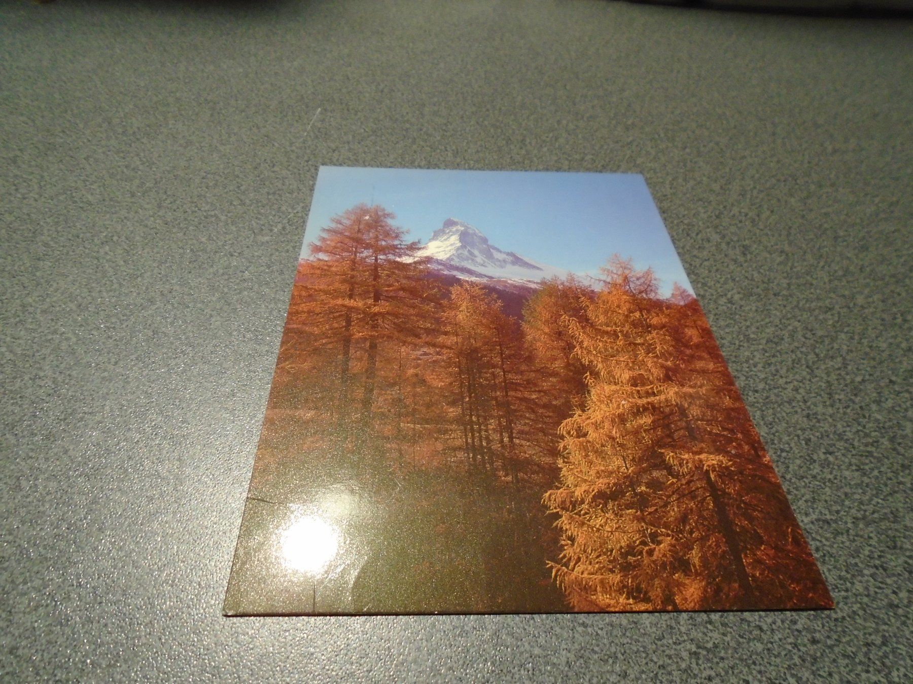 Cartoline postali: Ansichtskarte Zermatt im Herbst – Usato da Zürich venduto da abraxas1291