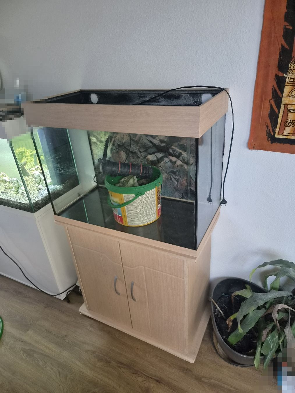 Acquari: Aquarium 120L mit Schrank und Filter – Usato da Bürglen TG venduto da Trucker96 2