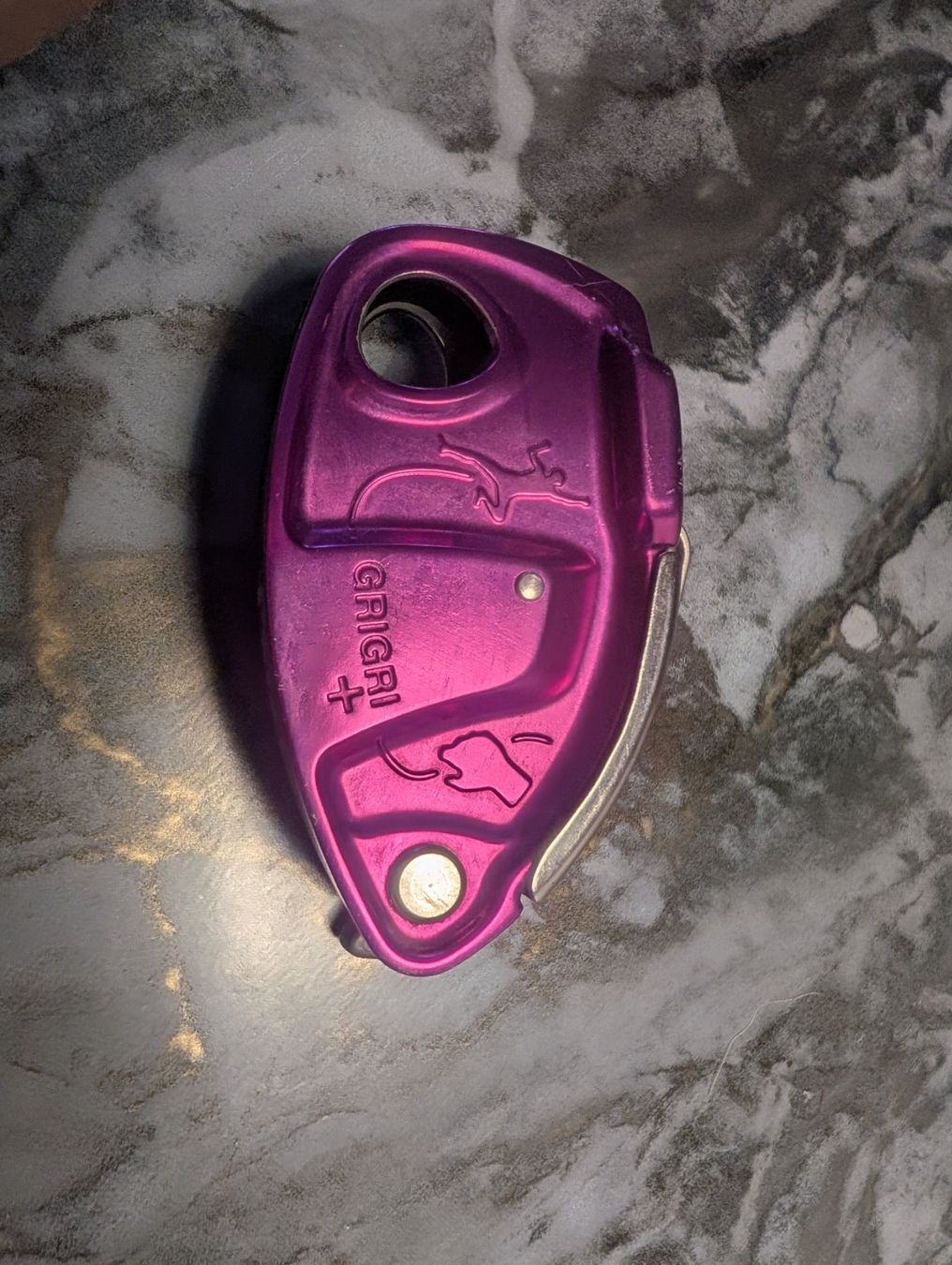 Attrezzatura da arrampicata: GriGri Plus Sicherungsgerät Kletterzubehör – Usato da Urdorf venduto da she_8mt6