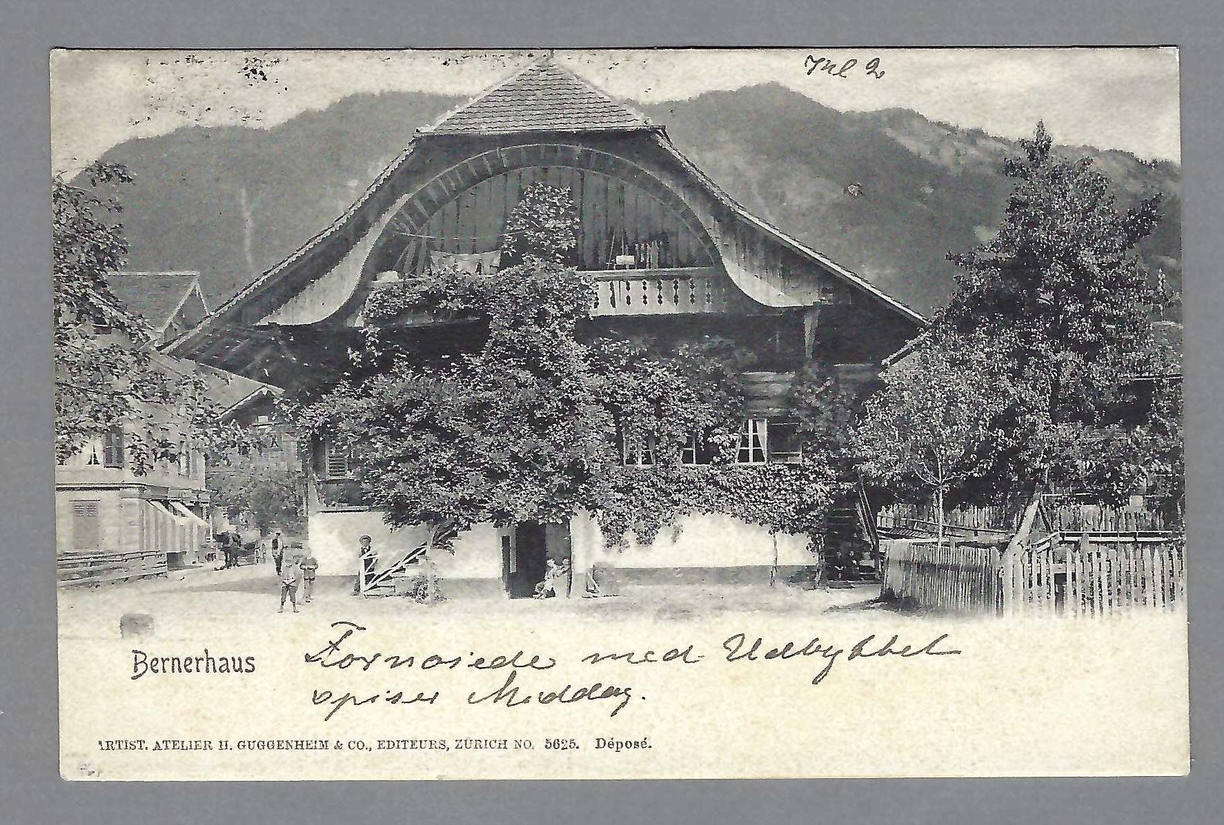 Cartoline postali: 1902, BERNERHAUS (kl. Randriss) – Usato da Pura venduto da ulisse1957