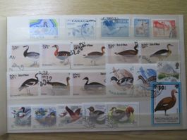 Vögel, Enten und Gänse Zusammendr.-Bogen, Sätze+Einzel O+**