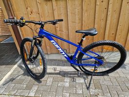 Giant Mountainbike blau Grösse S 29 Zoll