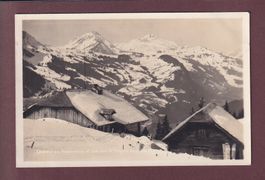 Chalets au RODOMONT - 1928