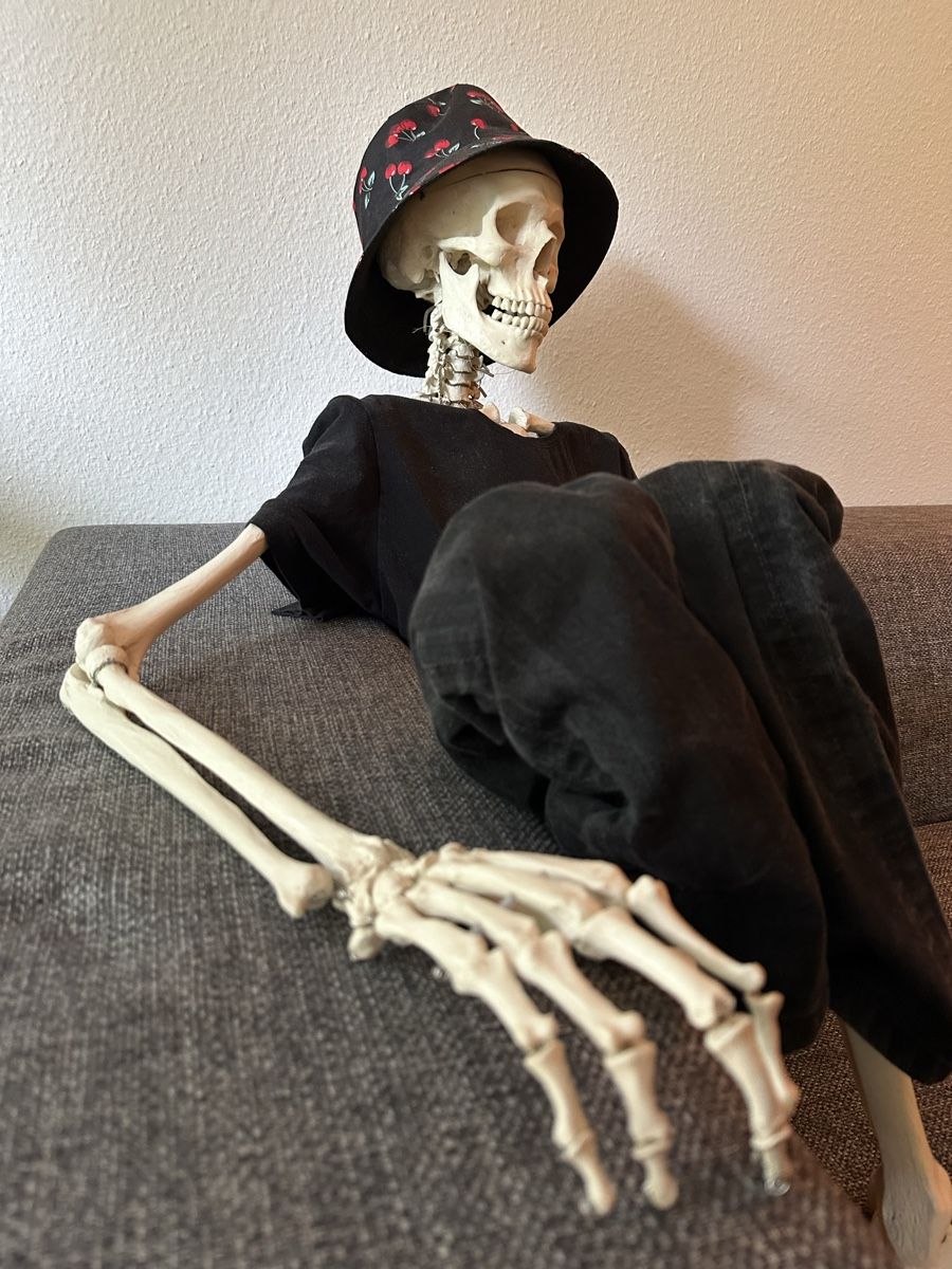Figuren: Skelett - Lebensgross - Merett – Gebraucht aus Bern von wengseng 2