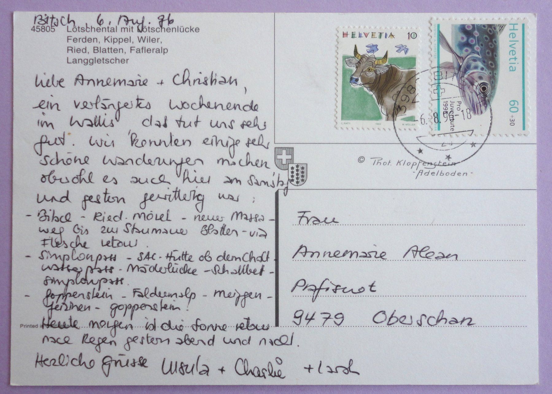 Cartes postales: Lötschental mit Lötschenlücke – D'occasion à Fétigny par Billy2miny 1