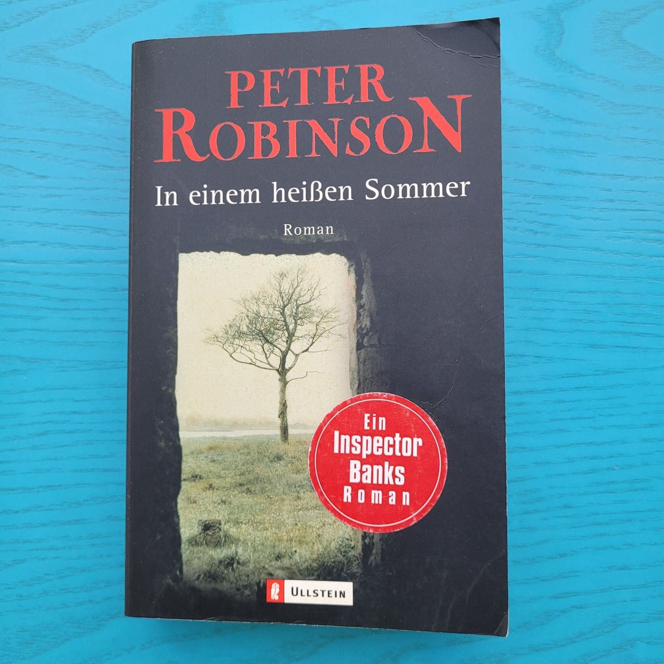 Libri: Peter Robinson - In einem heissen Sommer – Usato da SCHÜBELBACH venduto da CoKaHa