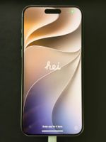 Apple iPhone 15 Pro Max 265GB guter Zustand