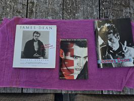 James Dean Biografien 3er Set  Zustand gebraucht