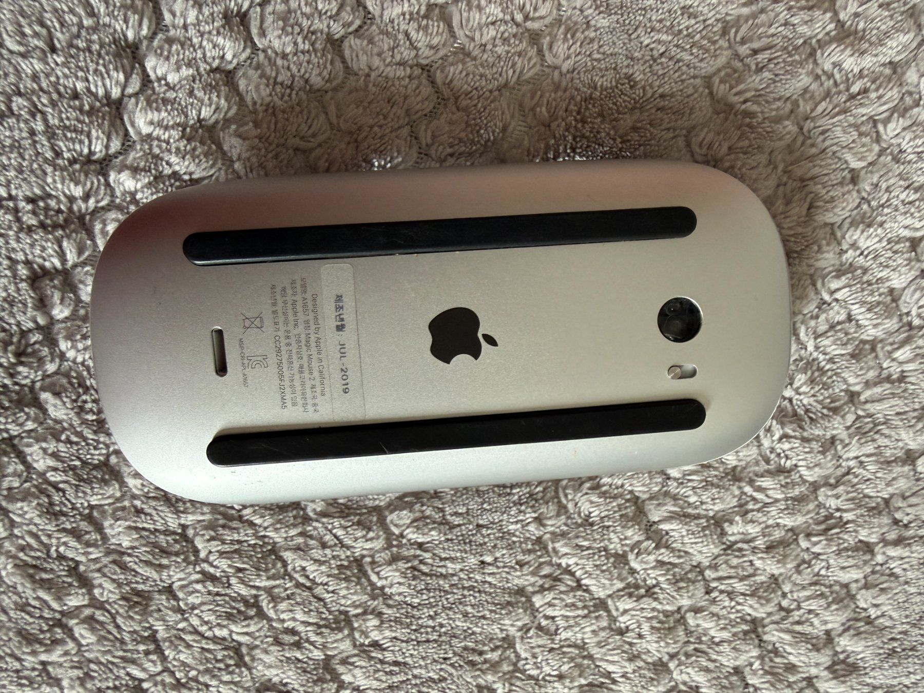Apple Mouse: Souris Magique Apple 2 – Usato da Genève venduto da AGBERG 1