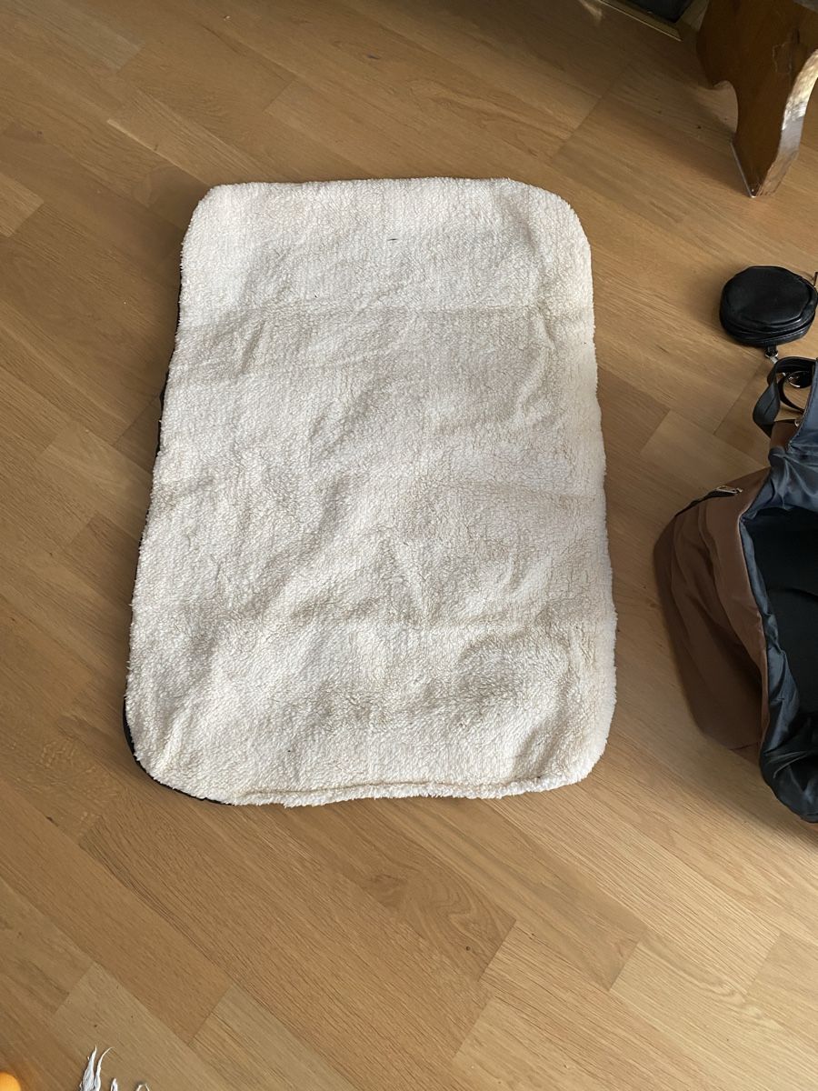 Sacs: Hundetasche – D'occasion à Madiswil par Blumen3 5